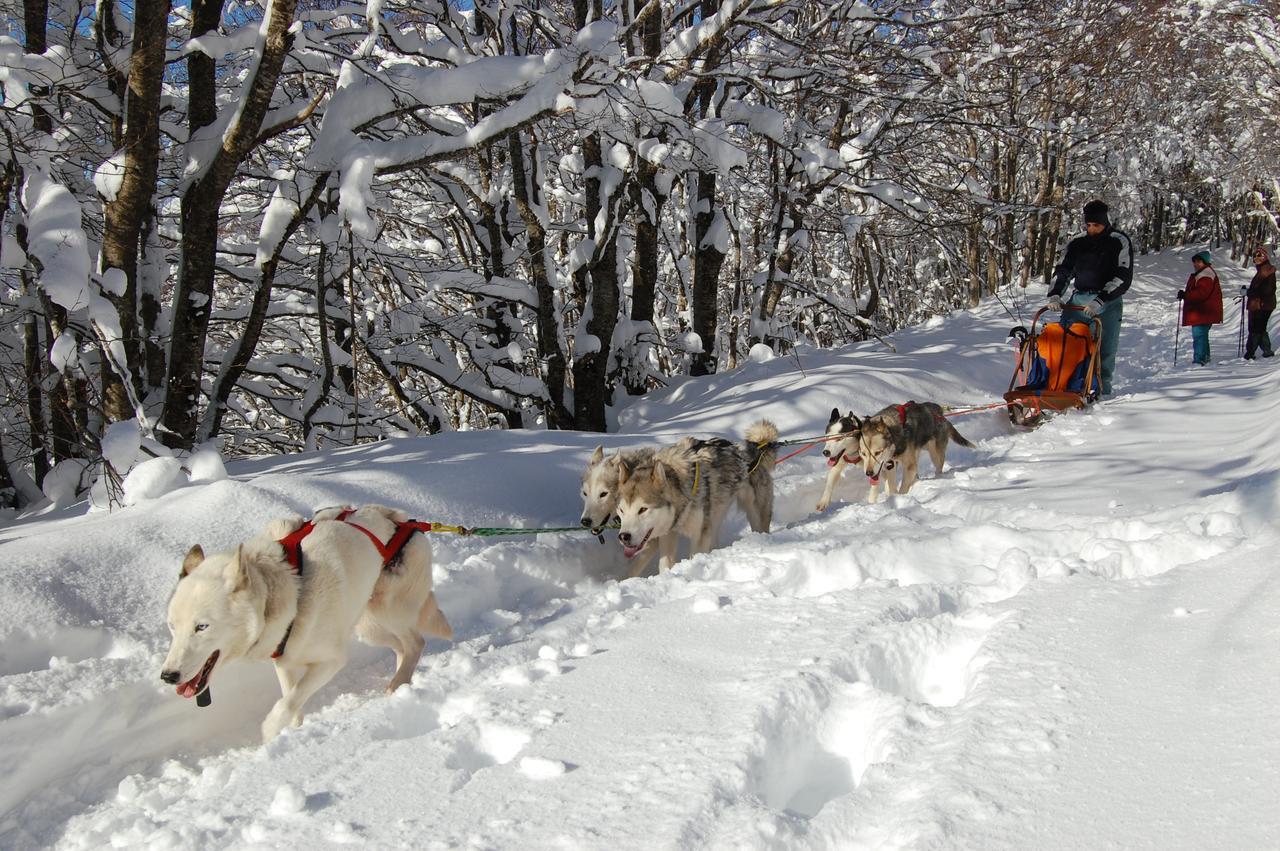 Rifugio Casello Margherita Camigliatello Silano Kültér fotó